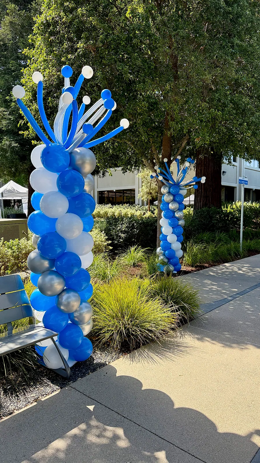 Two blue, white and silver chrome balloon columns topped with burst sprays, standing along an outdoor campus walkway