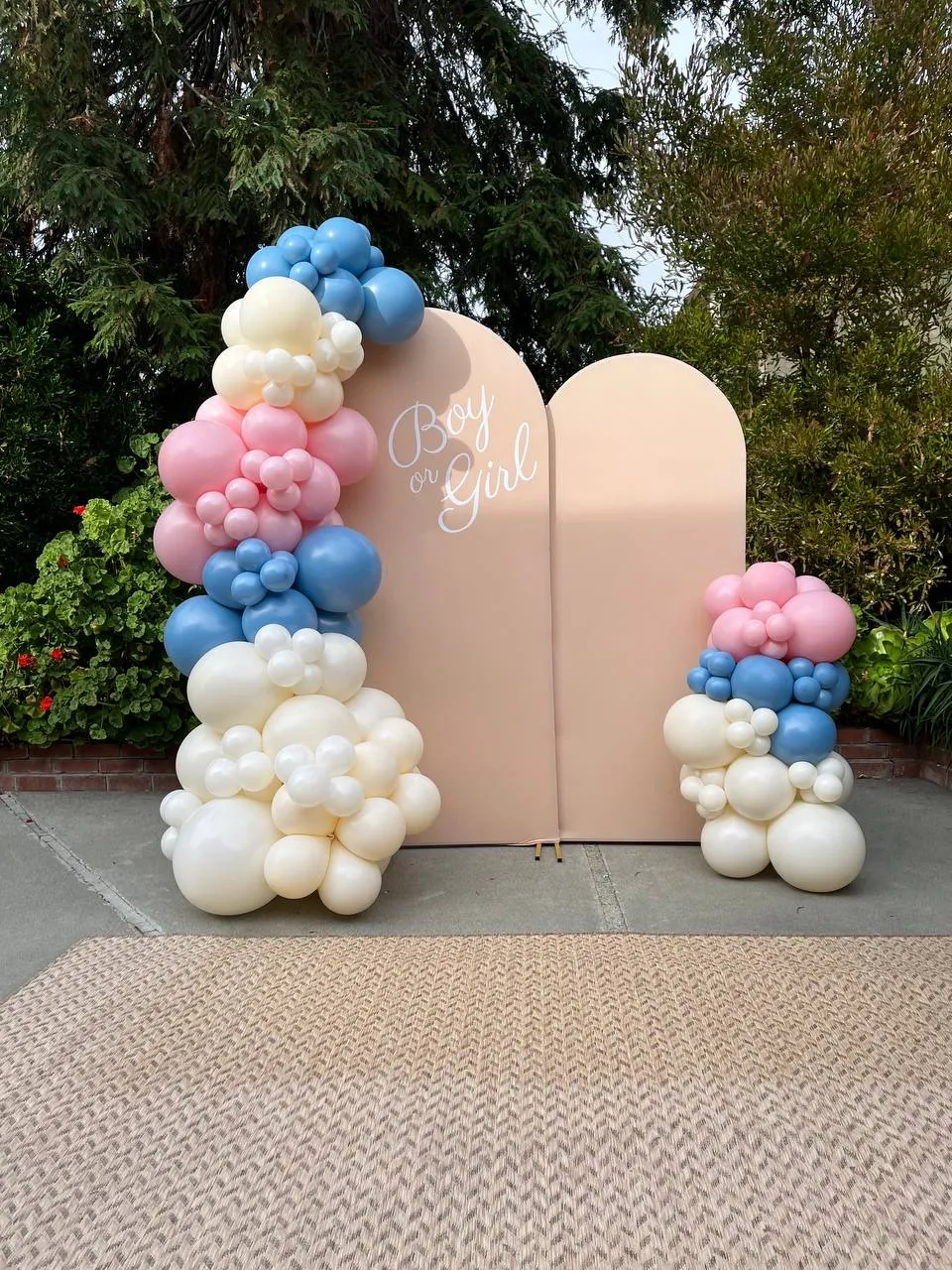 Pink, blue and ivory gender reveal balloon garland on a peach Boy or Girl backdrop